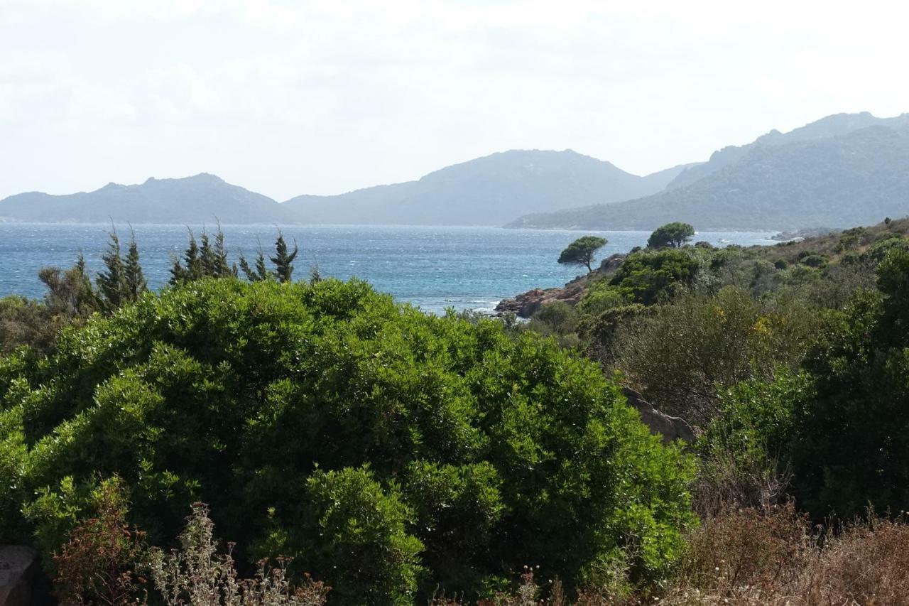 Domaine De La Punta Villa Porto-Vecchio  Eksteriør billede