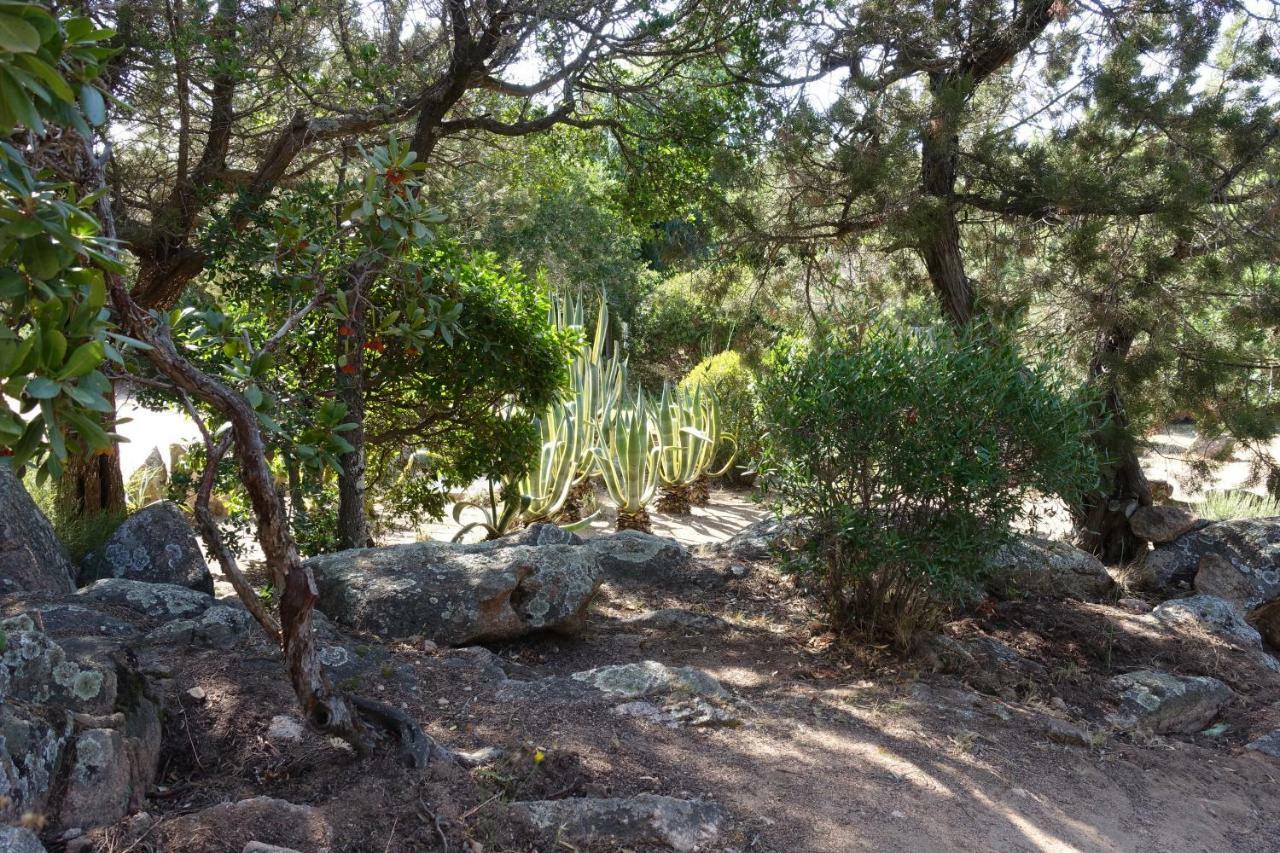 Domaine De La Punta Villa Porto-Vecchio  Eksteriør billede